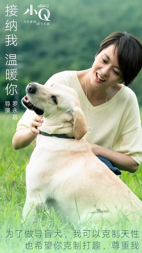 河畔学院文凭办理